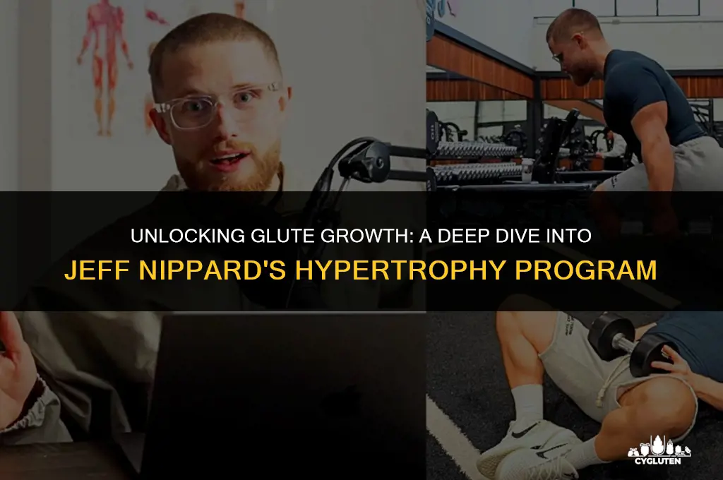 how good is jeff nippards glute hypertrophy program