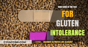 Unraveling the Mystery: How Accurate is Gluten Intolerance Testing?