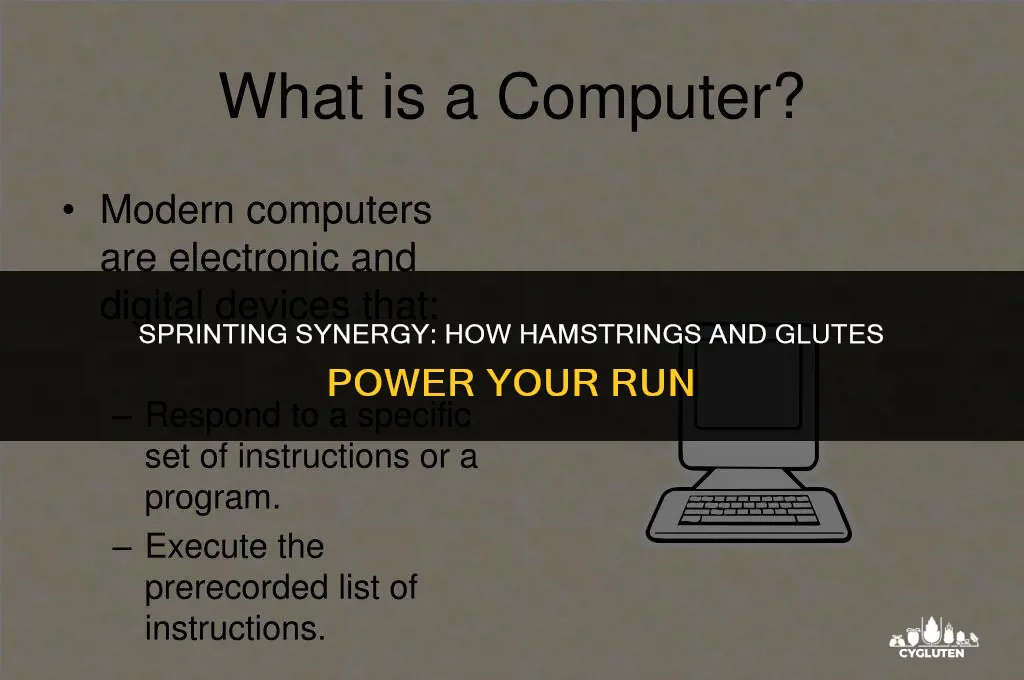 how hamstrings and glutes work together in sprint