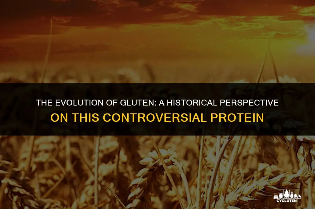 how has gluten changed over the years
