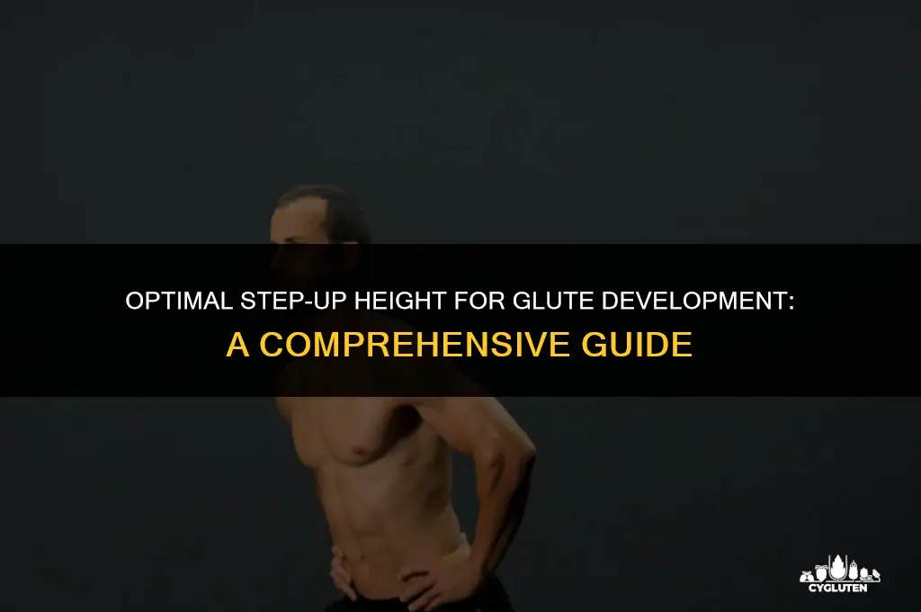 how high should step-ups be for glutes