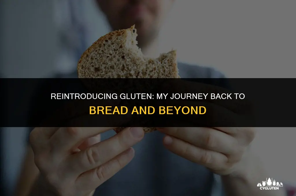 how i trained myself to eat gluten again
