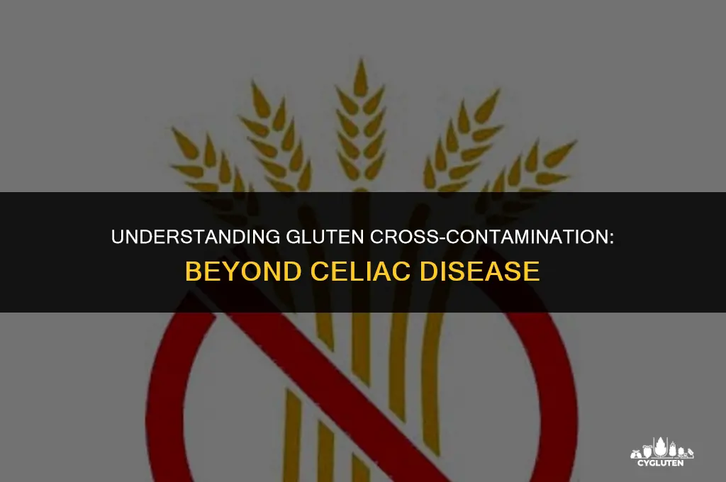 how important is gluten cross contamination not celiac