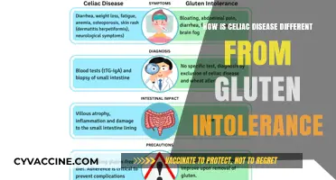 Understanding Celiac Disease vs. Gluten Intolerance: Key Differences Explained