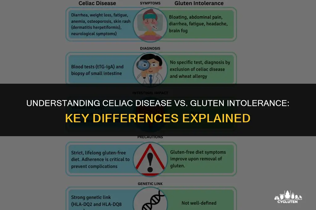how is celiac disease different from gluten intolerance