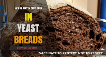 Unlocking the Secrets of Gluten Development in Yeast Breads