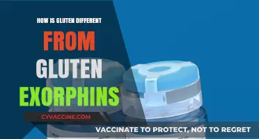 Unraveling the Mystery: Gluten vs. Gluten Exorphins Explained