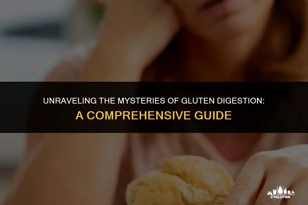 how is gluten difgested in the body