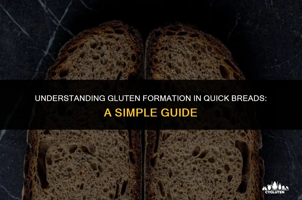 how is gluten formed in quick breads