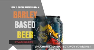 From Barley to Brew: The Gluten-Free Beer Revolution