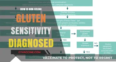 Unraveling the Mystery: Diagnosing Non-Celiac Gluten Sensitivity