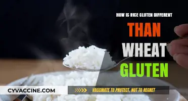 Unraveling the Mysteries: Rice Gluten vs. Wheat Gluten Explained