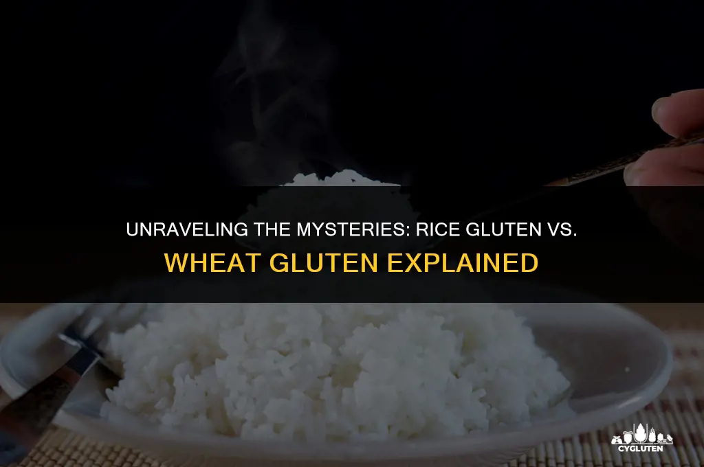 how is rice gluten different than wheat gluten