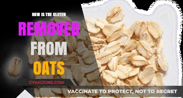 Unlocking Gluten-Free Oats: The Complete Guide to Safe Processing