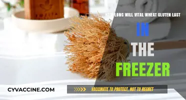 Maximizing Shelf Life: Vital Wheat Gluten's Freezer Longevity Explained
