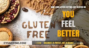 Revitalized Digestive Health: Timeline to Feeling Better After Gluten Removal