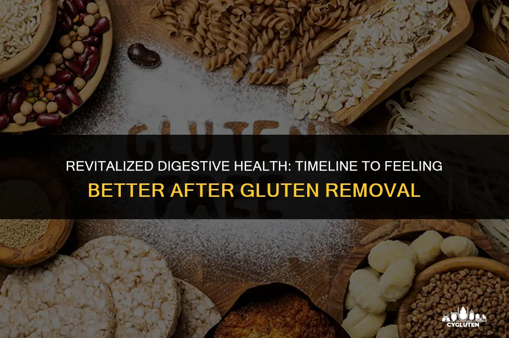 how long after cutting out gluten do you feel better