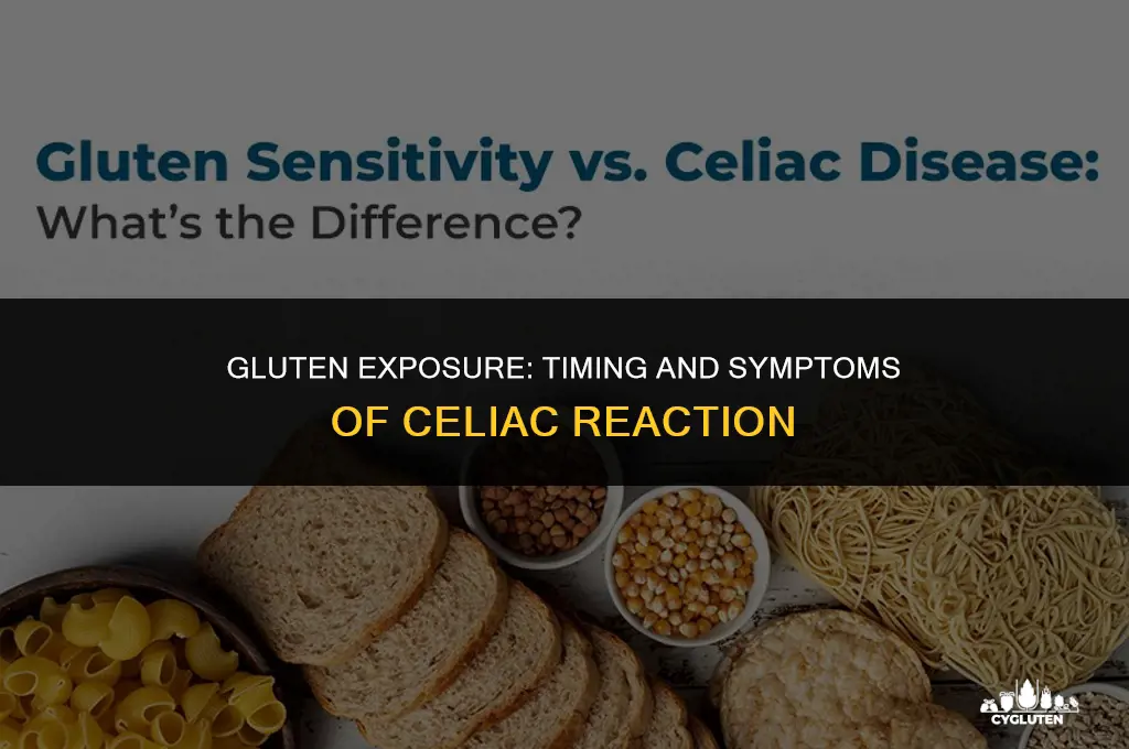 how long after eating gluten do celiacs get sick