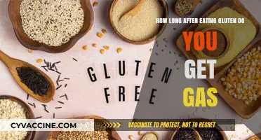 Gluten and Gas: Understanding the Digestive Timeline