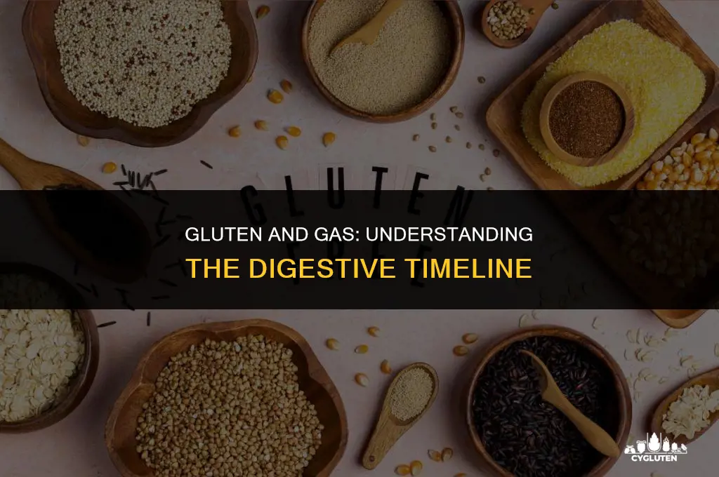 how long after eating gluten do you get gas