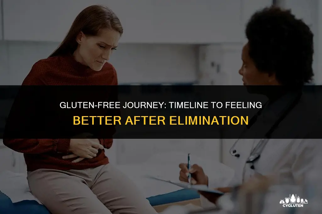 how long after eliminating gluten will i feel better
