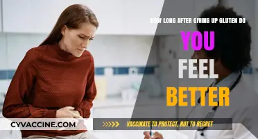 Revitalized Digestive Health: Timeline to Feeling Better After Quitting Gluten