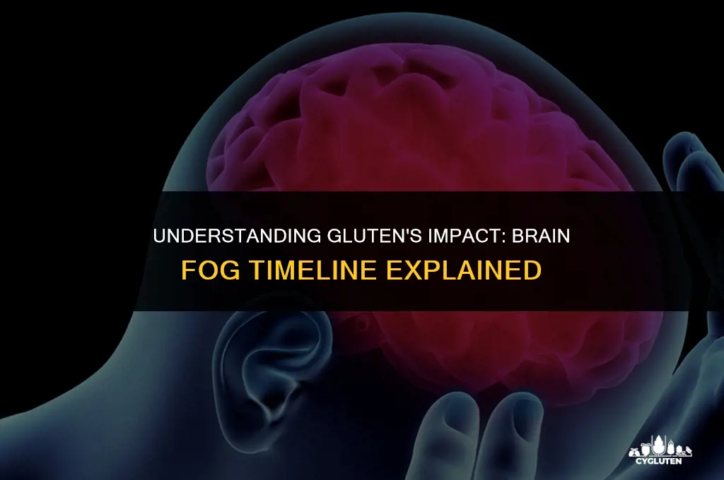 how long after gluten get brain fog