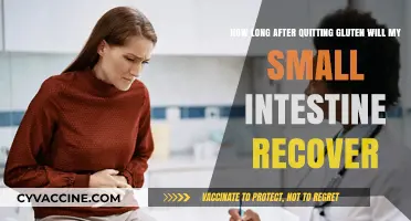 Gluten-Free Journey: Small Intestine Recovery Timeline Unveiled