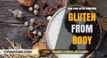 Gluten-Free Journey: Understanding the Body's Healing Timeline