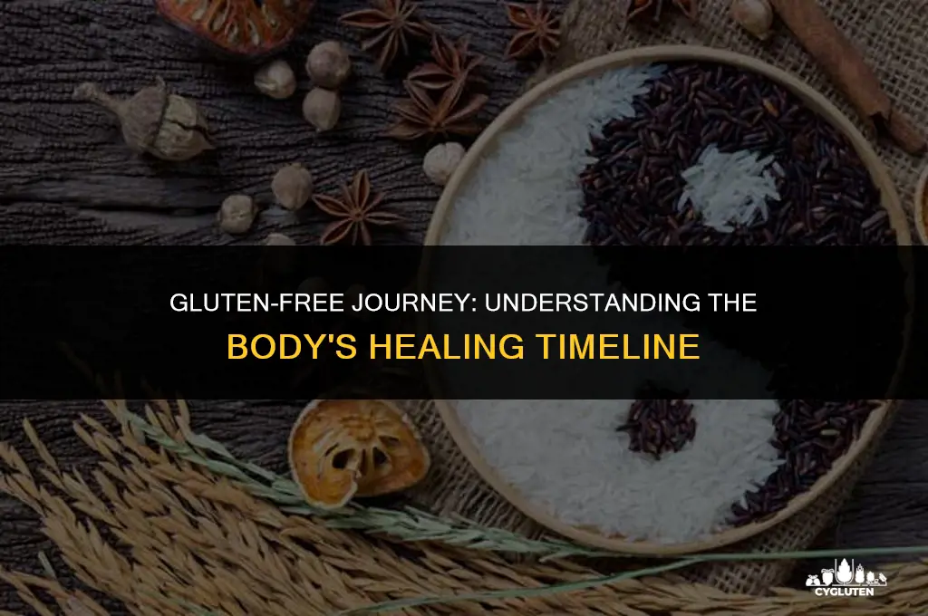 how long after removing gluten from body