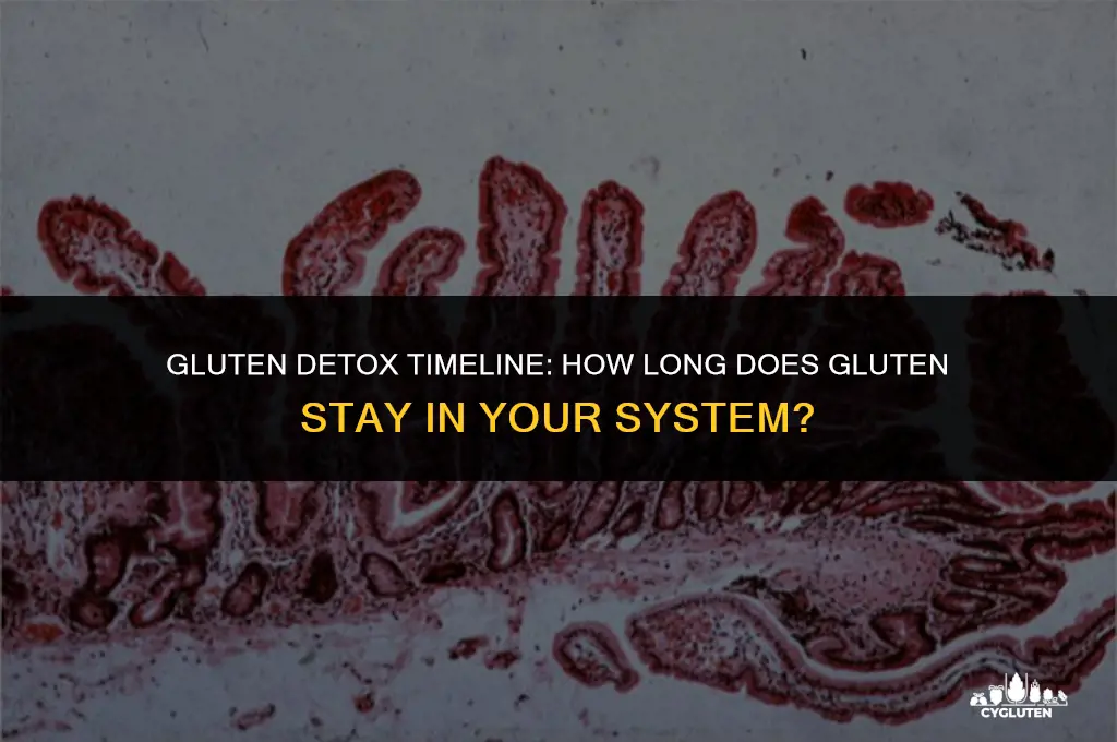 how long dies a gluten to leave your system