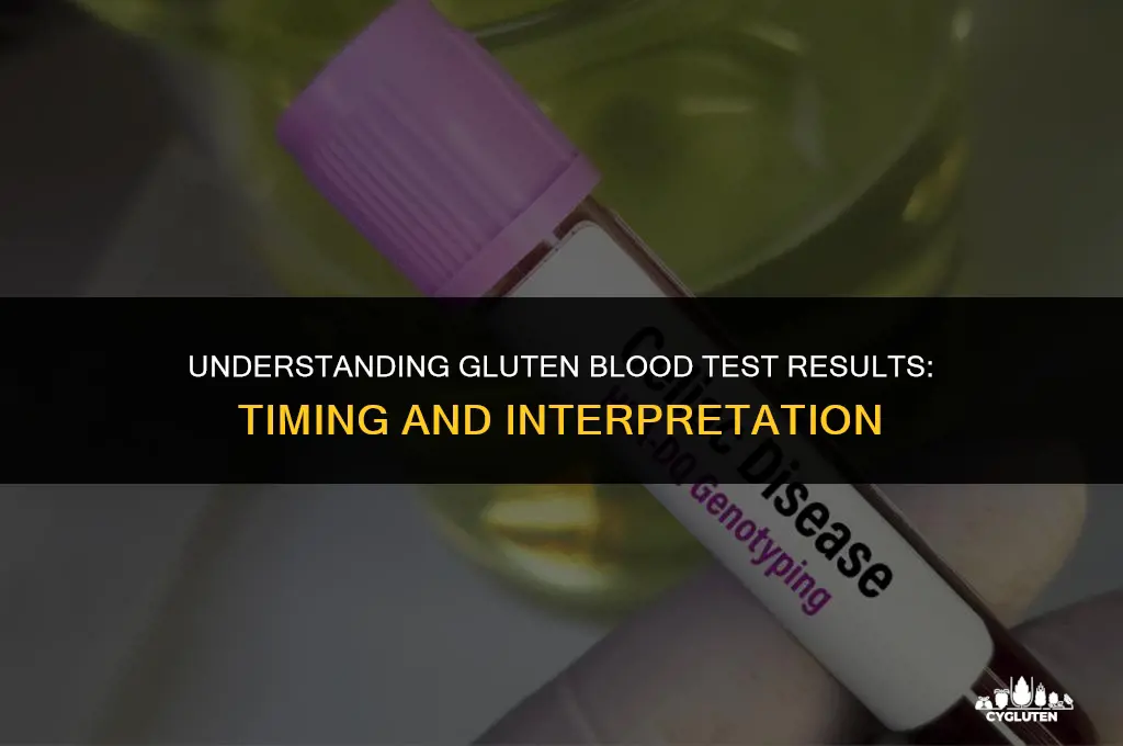 how long do gluten blood test results take