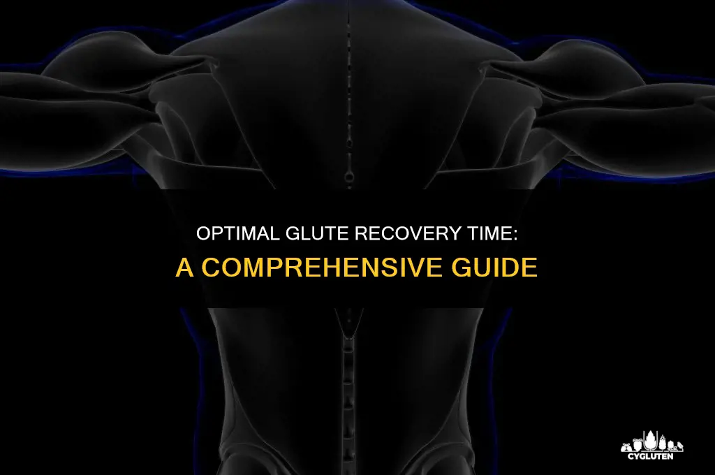 how long do glutes need to recover
