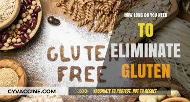 Gluten-Free Transition: A Timeline for Eliminating Gluten from Your Diet