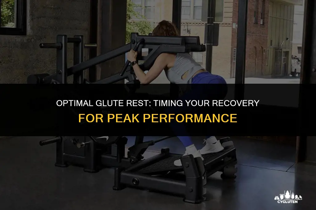 how long do you need to rest your glutes