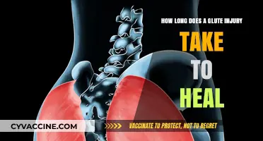 Understanding Glute Injury Recovery: A Comprehensive Guide