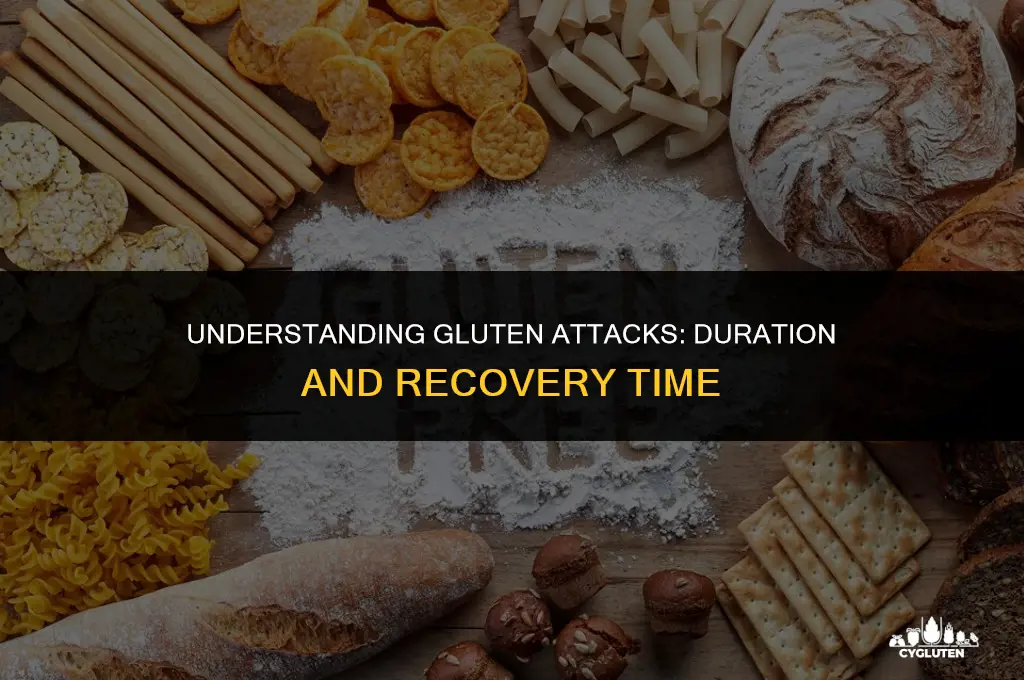how long does a gluten attack last