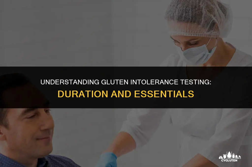 how long does a gluten intolerance test take