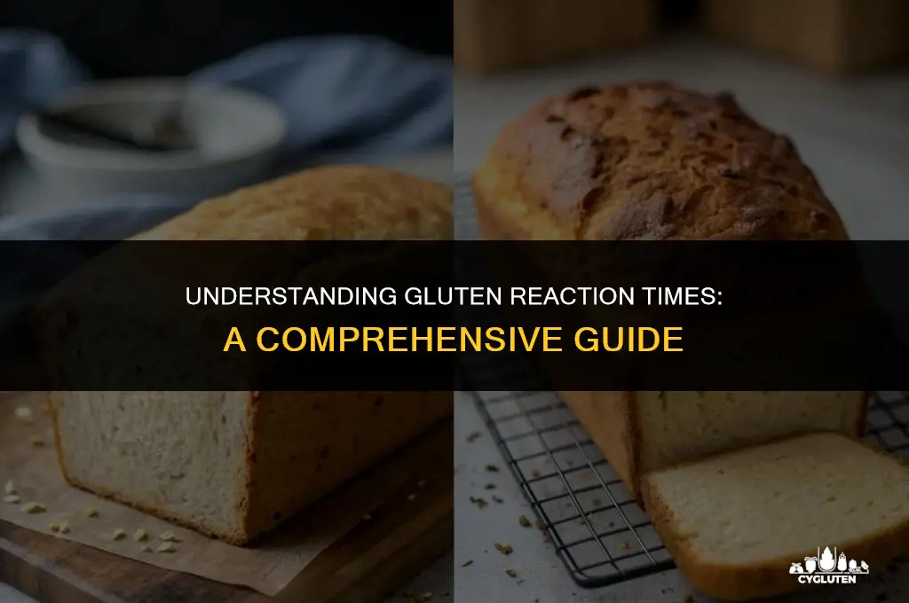 how long does a gluten reaction take