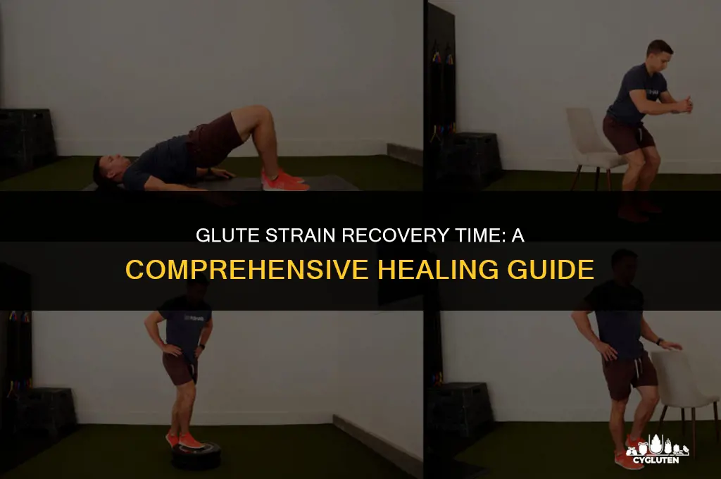 how long does a strained glute take to heal