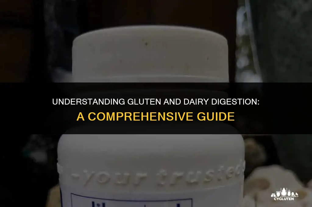 how long does gluten and dairy stay in your system