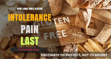 Understanding Gluten Intolerance Pain Duration: A Comprehensive Guide