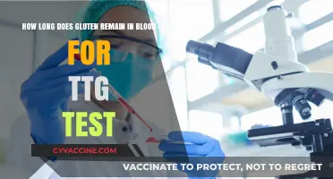 Understanding Gluten Persistence: A Guide to TTG Test Accuracy