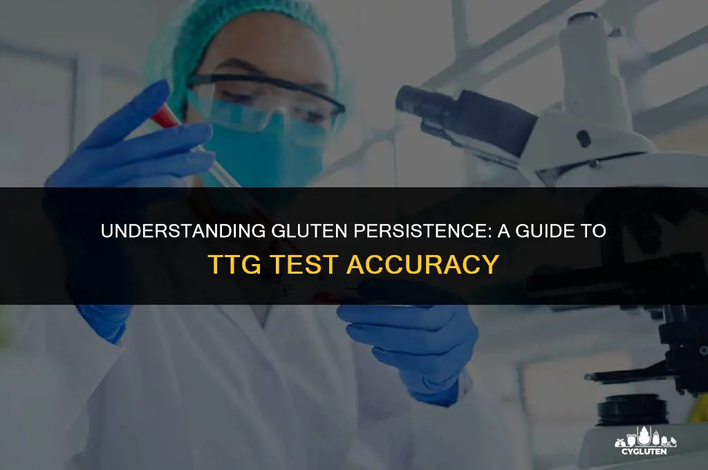 how long does gluten remain in blood for ttg test
