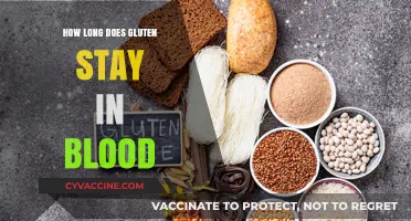 Unraveling the Mystery: Gluten's Persistence in Your Bloodstream