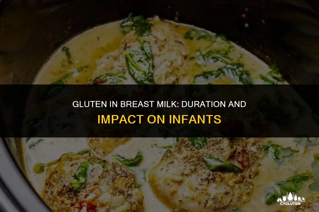 how long does gluten stay in breastmilk