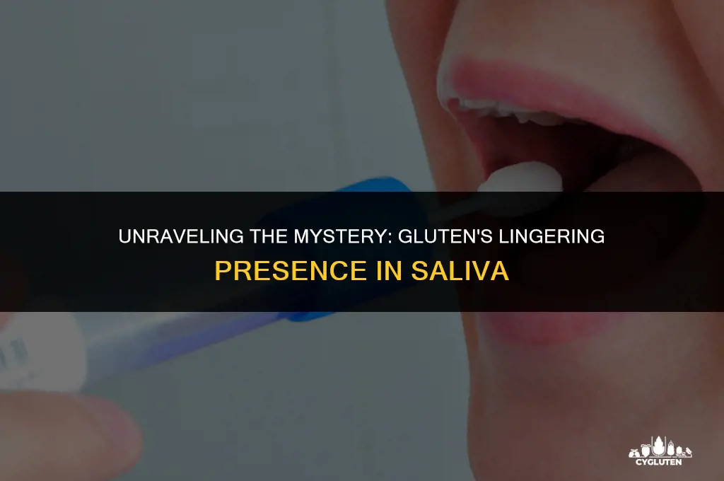 how long does gluten stay in saliva