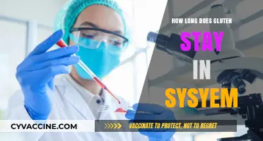Understanding Gluten Persistence: A Guide to Its Duration in Your System