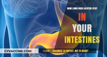 Unraveling the Mystery: Gluten's Journey Through Your Intestines