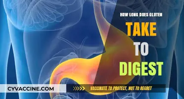Understanding Gluten Digestion: A Comprehensive Guide
